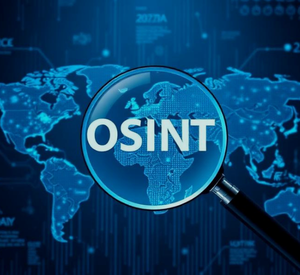 OSINT Assessment